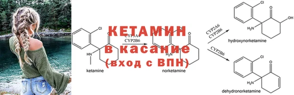 бошки Алексин